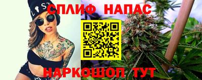 стаф Обнинск