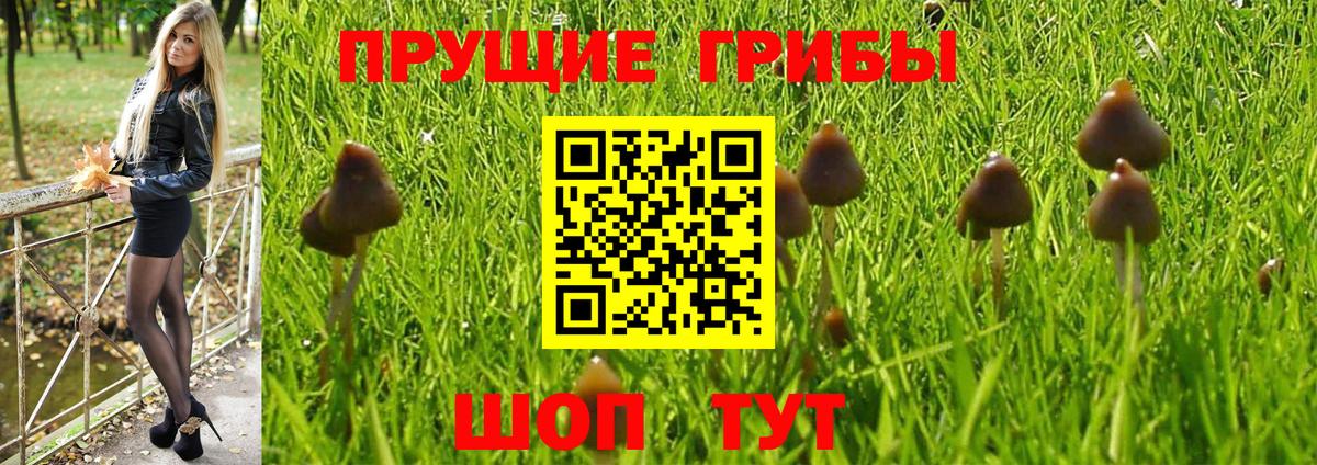 Галлюциногенные грибы мицелий Трёхгорный